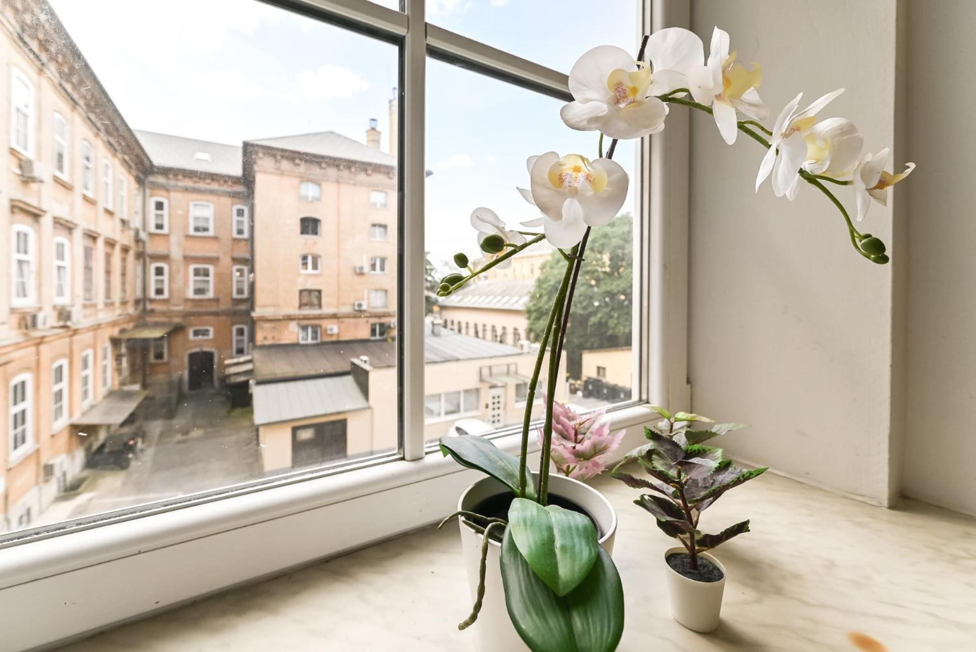 Apartman Apartma N'poznam Tobacna 2